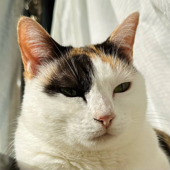 B5096607 5db7 455a 9472 17d75dc85794 1670291006514