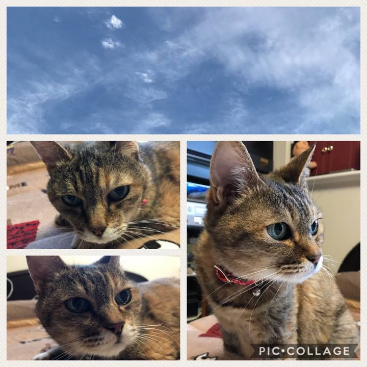 B5099a25 c4a4 45e6 be63 af57f76a392a 1529642635225