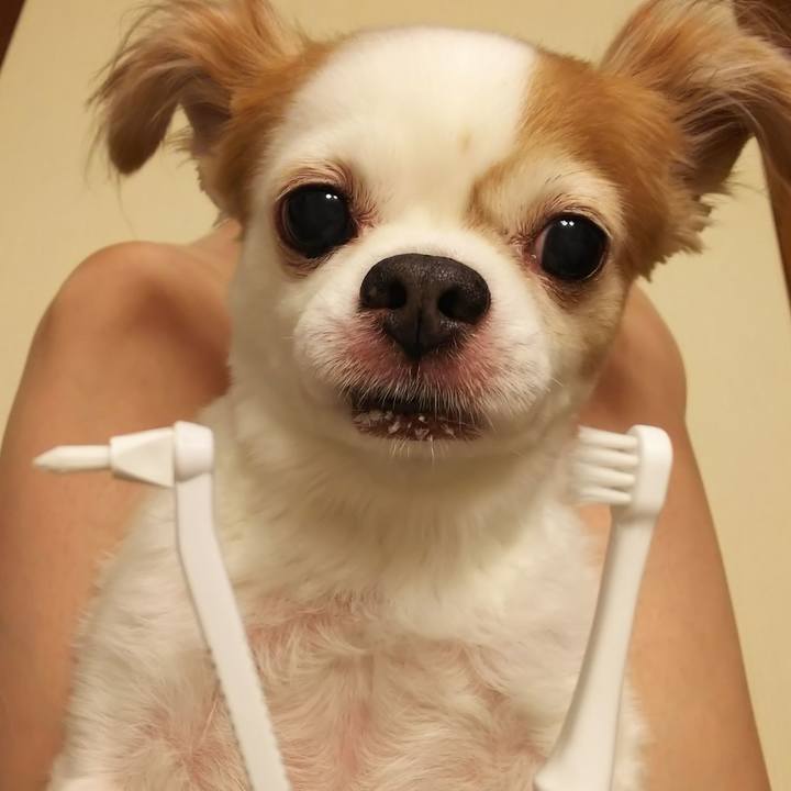 B509d784 06be 4031 bd64 7e350db6fd7c 1568900822041