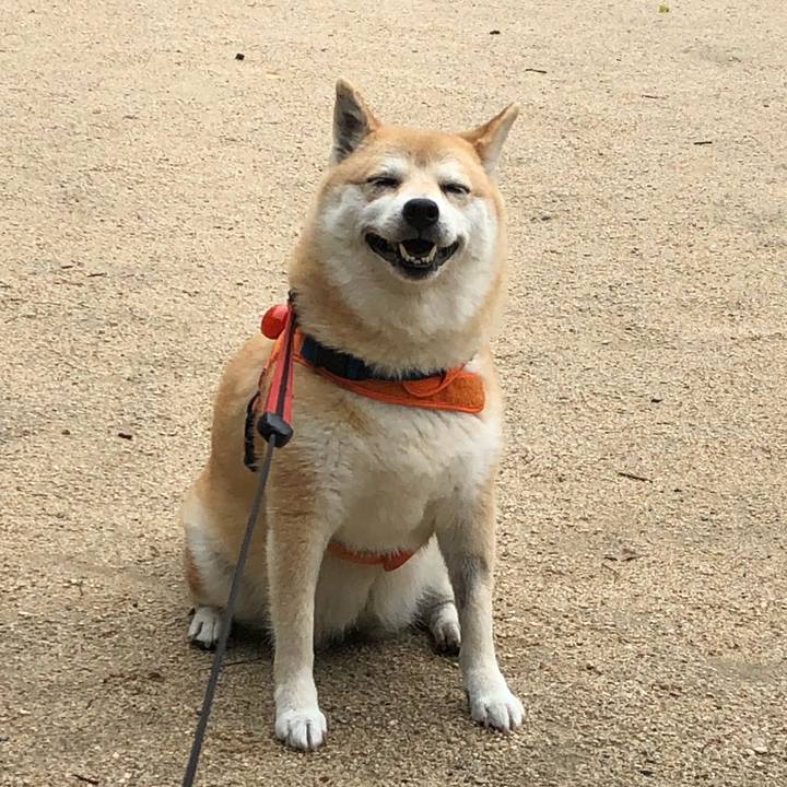 B509f522 f340 4750 a918 b1424edf3311 1561808882387