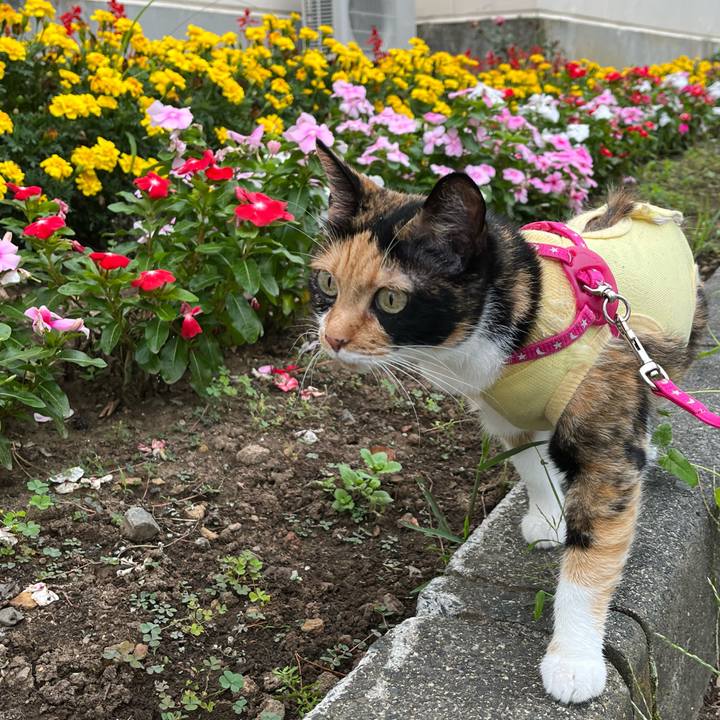 B50a2b43 23d7 45c5 b611 f8542c50d1ce 1660971013868