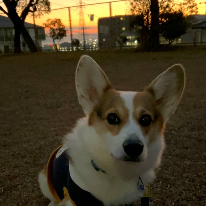 B50a3228 b5fc 4c6d a459 511e7d7e462b 1767948451667