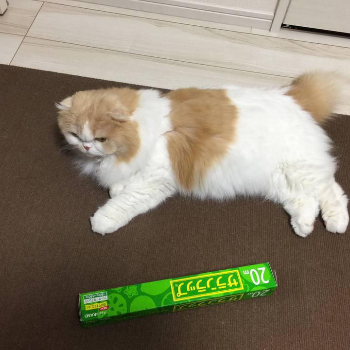 B50a39e7 8ff8 40c8 bc02 c4cc2e50fc28 1585142396139