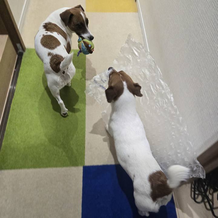 B50a7ba4 c686 464a 88c7 5062caf7b4cb 1773983998864