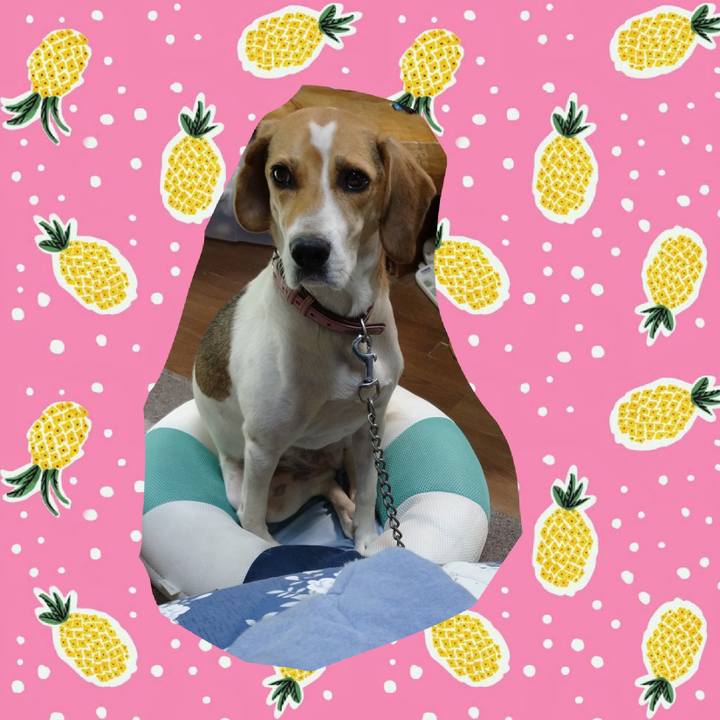 B50a83e2 61c5 4198 9a9f 53fe99df2316 1599125968943