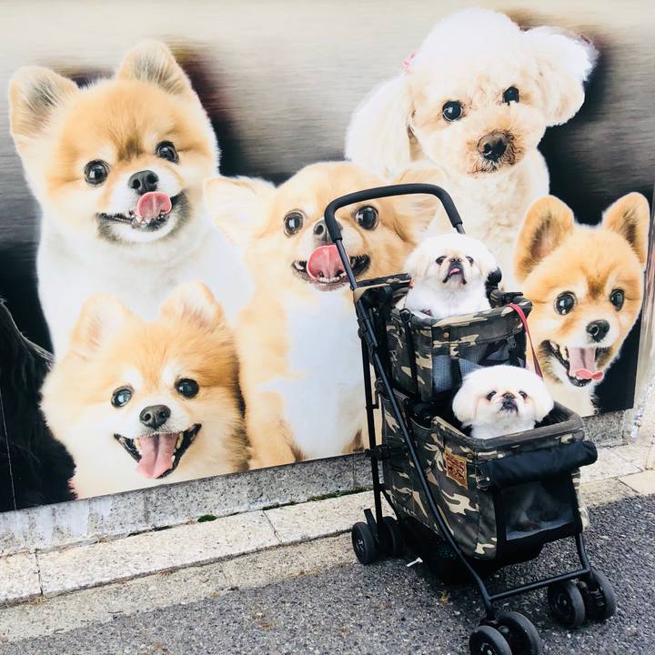 B50a8eb9 08c3 4e76 966c 89d31418af34 1595195049905