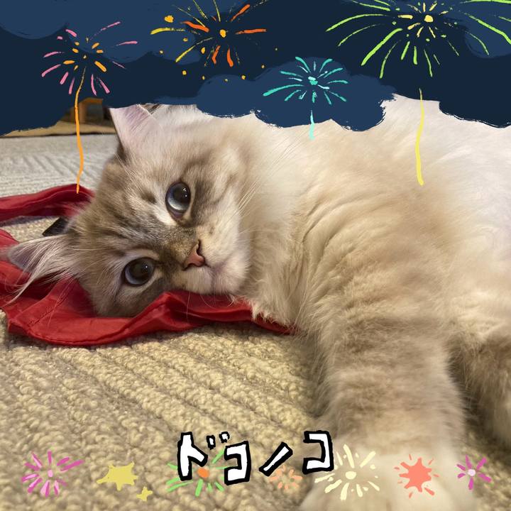 B50ac4ee 2799 45a9 95ea 6229b8654aa6 1723511958174