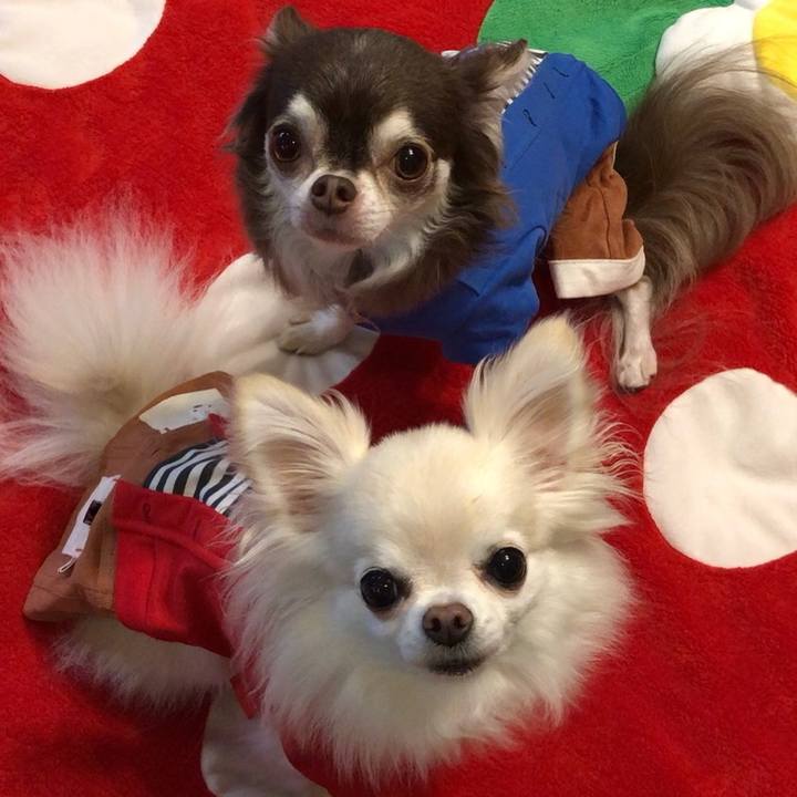 B50acb09 d2c3 4ae6 98cf d3aa9a35e5de 1538007339166