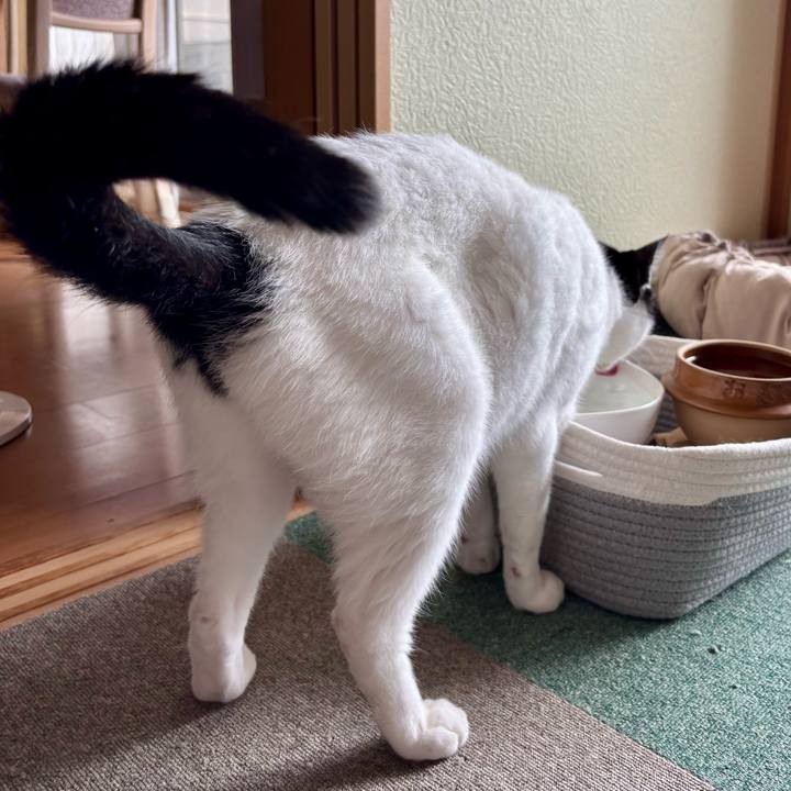 B50b1749 bc51 4e2e ac36 8211f3eceec8 1757839052401