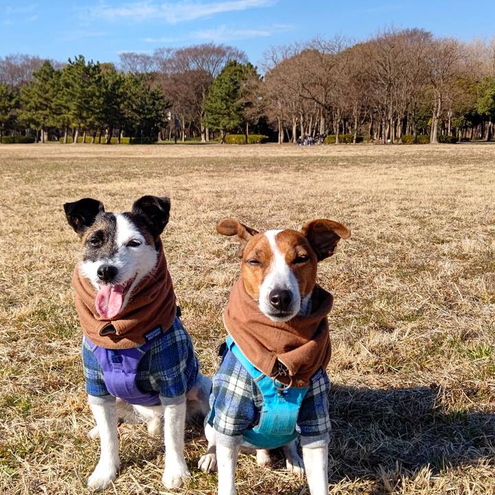 B50b301c 5dbf 46be b903 28f812a15a7d 1673081528146