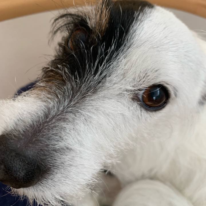 B50b5b2c a1e5 4483 93c8 da29e3b38e28 1743227539192