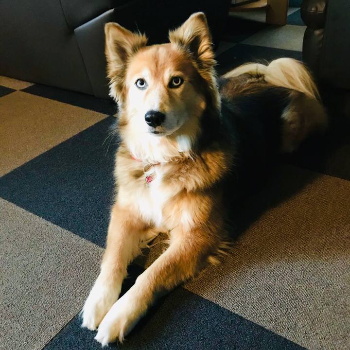 B50b6392 e256 4636 a93f b29b665d2b8a 1578557104000