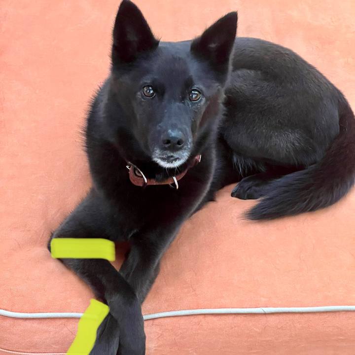 B50b7e91 9193 45c1 9ca8 a5e317644417 1687319672890