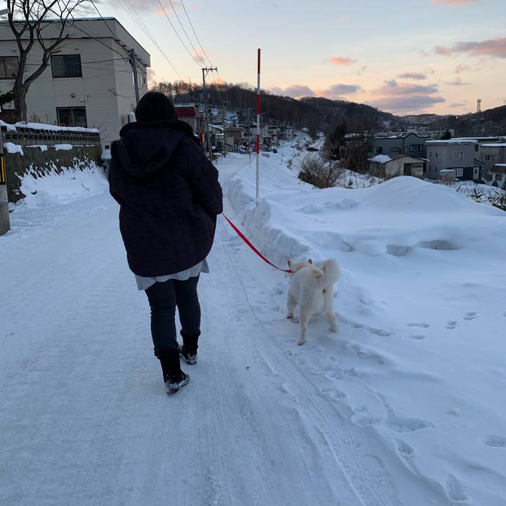 B50baca6 e35f 4177 9c83 cccc9d34864e 1580158056504