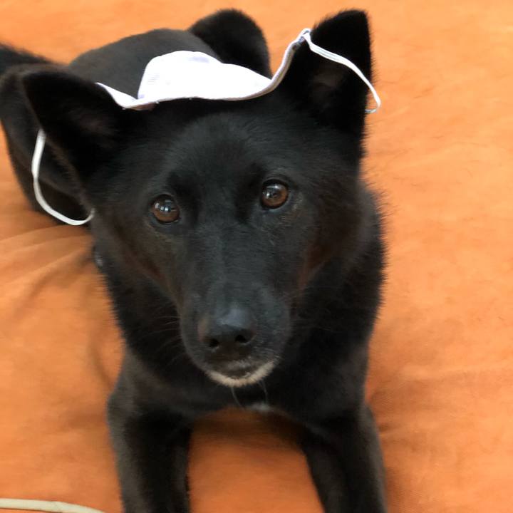 B50bbdeb ede7 45fa bb1c 9ca91cbeced3 1596249056537