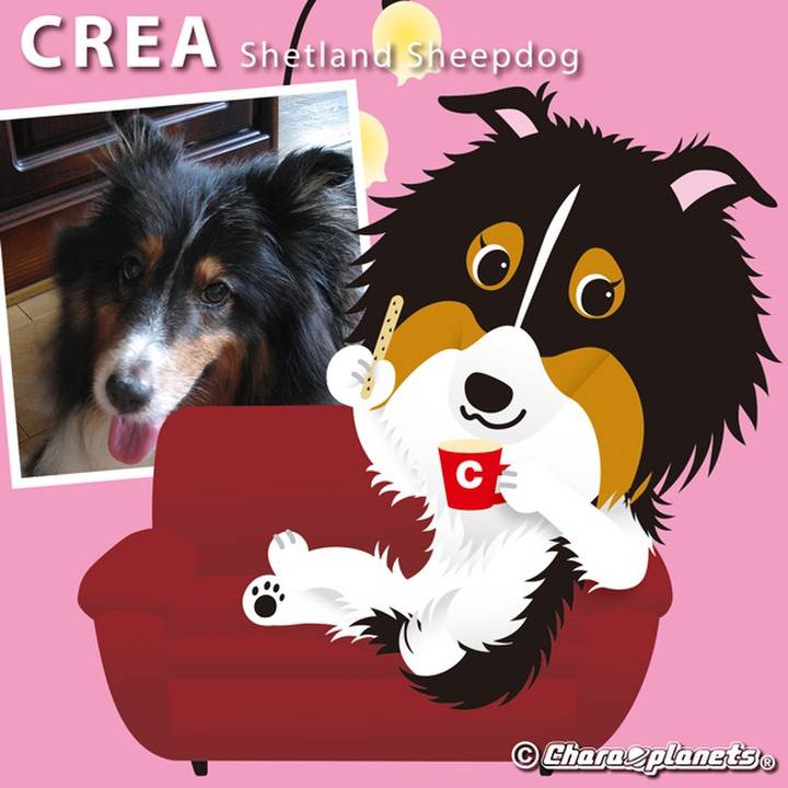 B50c27c7 3b3a 42db ad24 67e9b34116bb 1563768185773