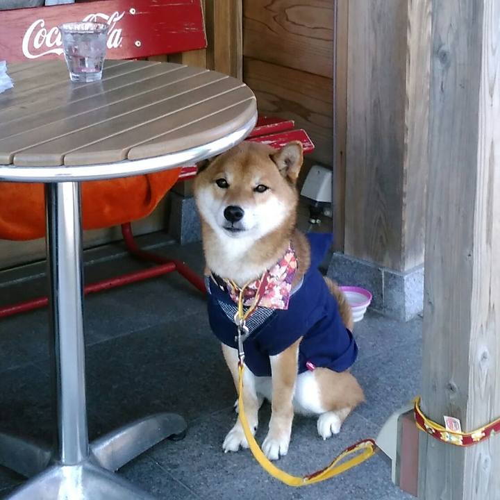 B50c69a9 3b2a 45c9 953f 0528dfee8571 1515836913205