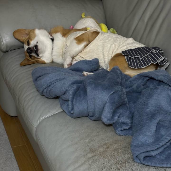 B50cb3e7 7d28 4158 95a6 3f0823e8a8df 1763655142717