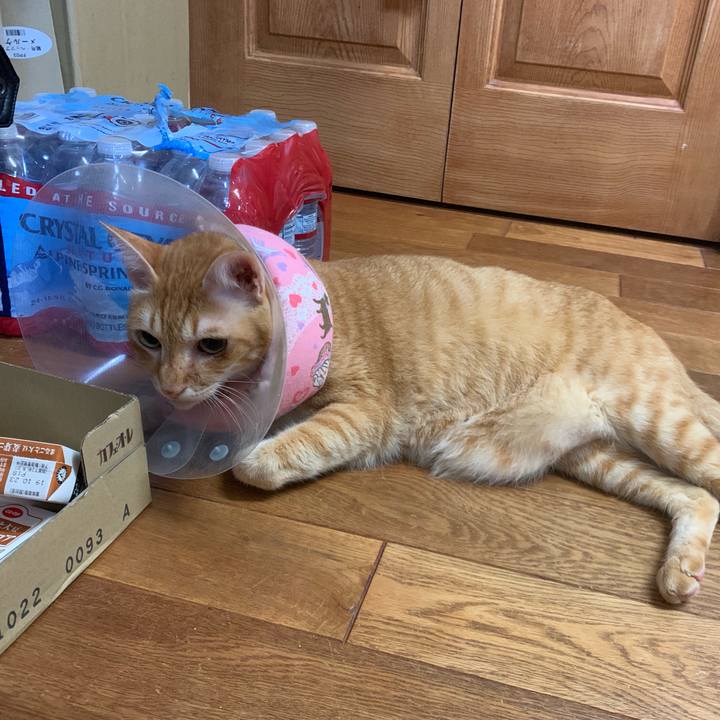 B50cb6df 8285 4c0a 8aab fc105e268ea1 1566960781973