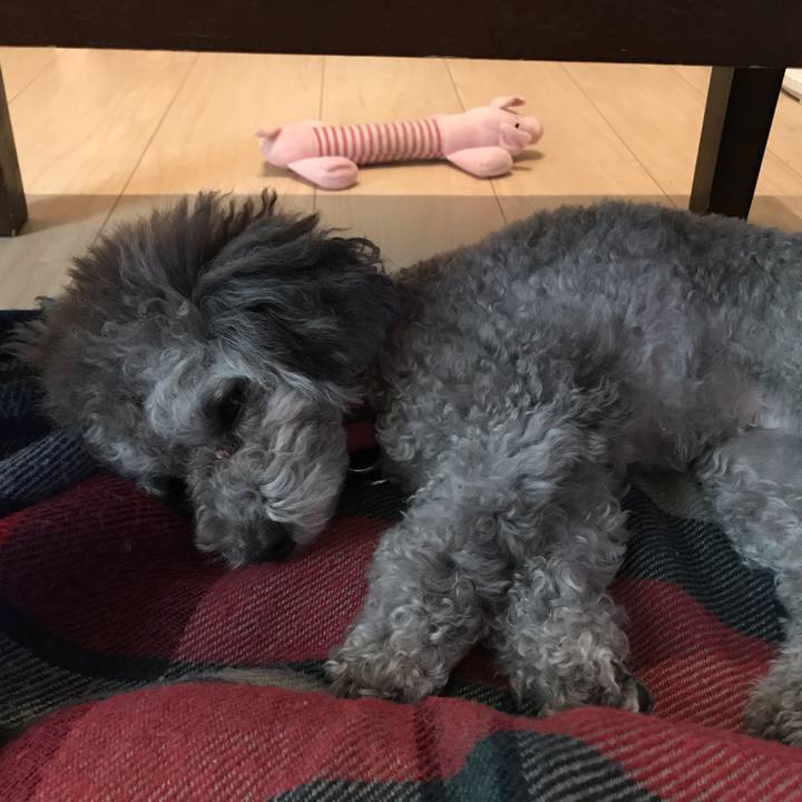 B50ccb89 9064 47bb bdb9 32d75e73524f 1540352842043