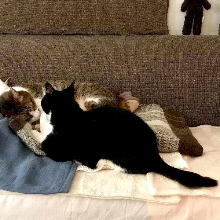 B50d5c38 0374 4eed 93db 78560ec9b7ce 1551683720497