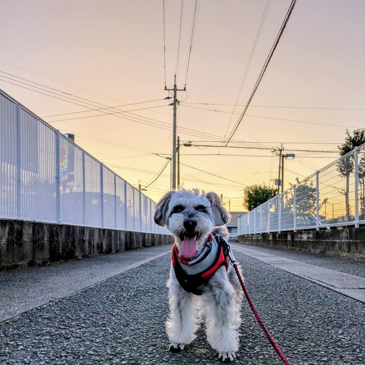 B50d72c6 7014 491b aa8f 07c4c3f134ff 1760178301690