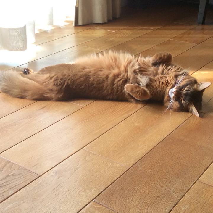 B50d778c 59df 4330 8b0c 225de34f456a 1632273427241