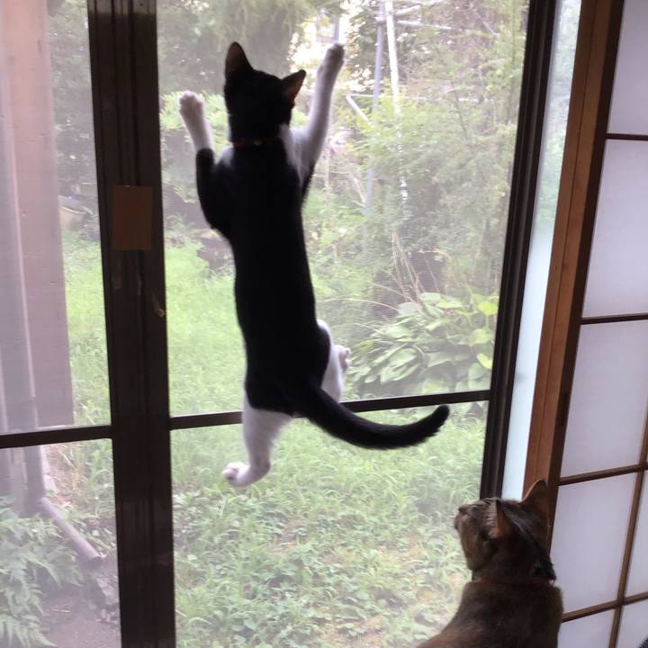 B50d843c 8d92 4667 8089 8f7b76f65d5b 1628915213881