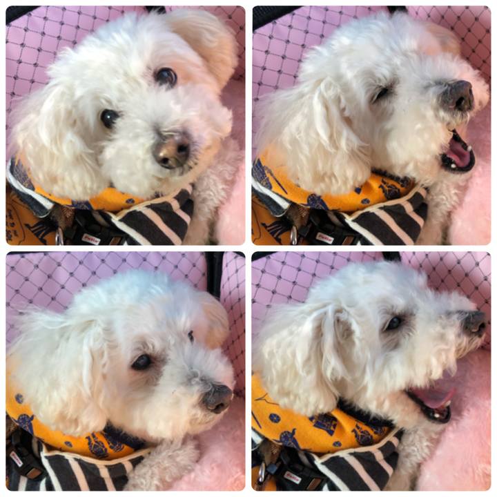 B50d8938 dbbd 4b93 994a fa4169f565ff 1545265560934