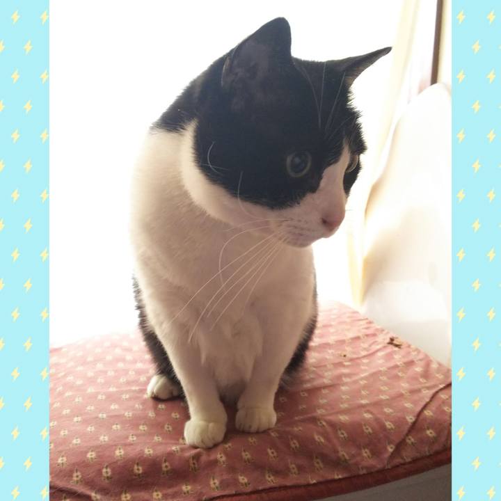 B50dc3a0 6934 439f a03d c828b2064324 1556532332273