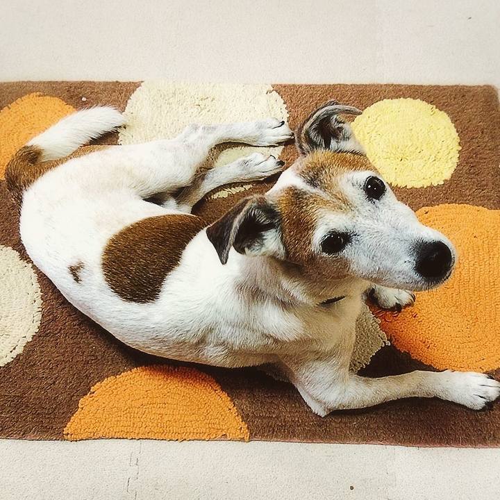 B50de833 27d2 4e31 a1e6 f0bc20fbe29e 1593730253777