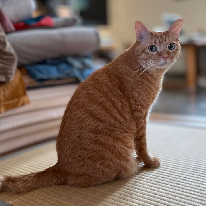 B50de954 2faa 4bcc a014 2d30d895a607 1726220352015