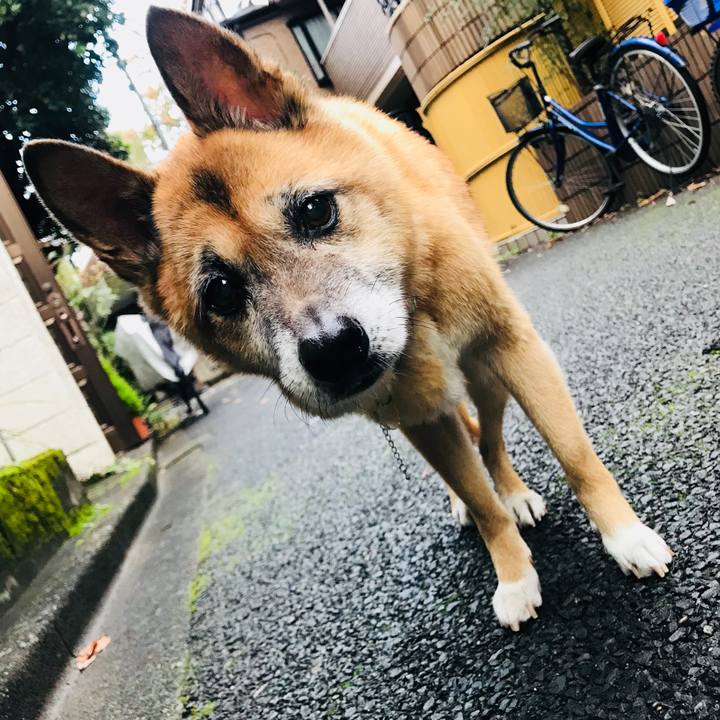 B50ded29 b5a3 4b7f 9a95 1c064abadbaa 1542667788093