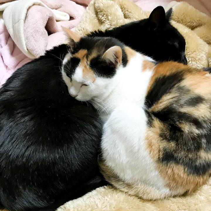 B50e1629 0f38 4e0c aa37 f356922f33c6 1516714058384