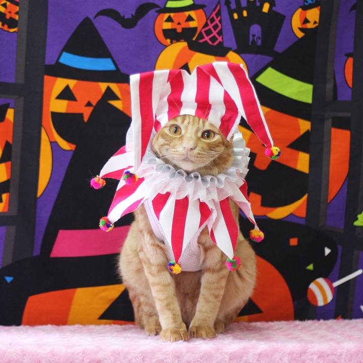 B50e2383 351e 4088 a469 1270ea86b1e5 1695801472358