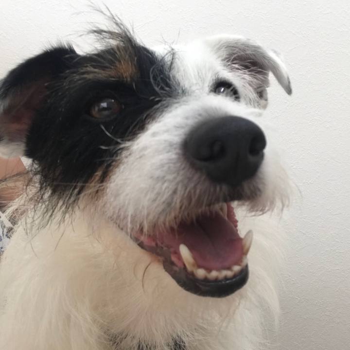 B50e7162 0e8d 4729 8ab0 53635e4adb44 1531026819728