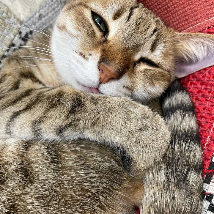 B50e7b71 332c 4e75 b174 6b9c6ad822bd 1742108471134