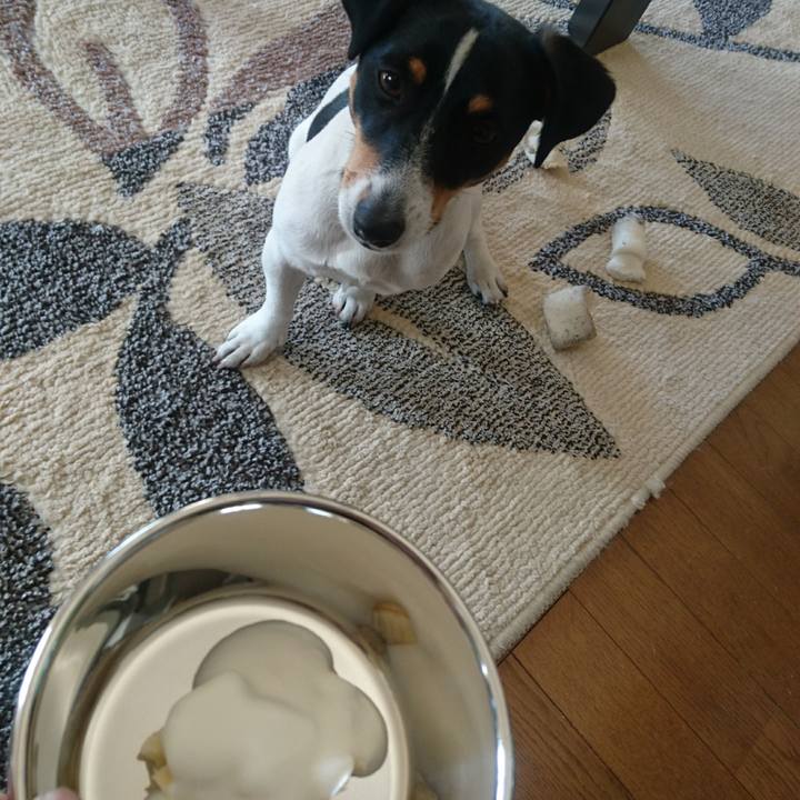 B50e8aec 3b0f 410f b97b 31732d6dc90f 1548469167869