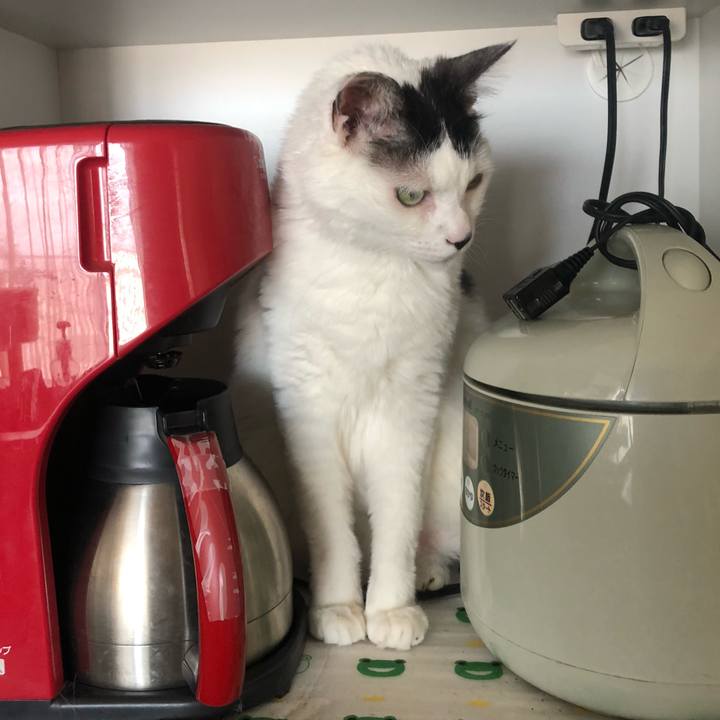 B50e9a7f 3541 4323 b460 078f31b2f938 1591932611669