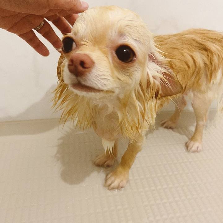 B50e9f7c 8eca 4ce7 a64d 5d657e404a6d 1617716814497