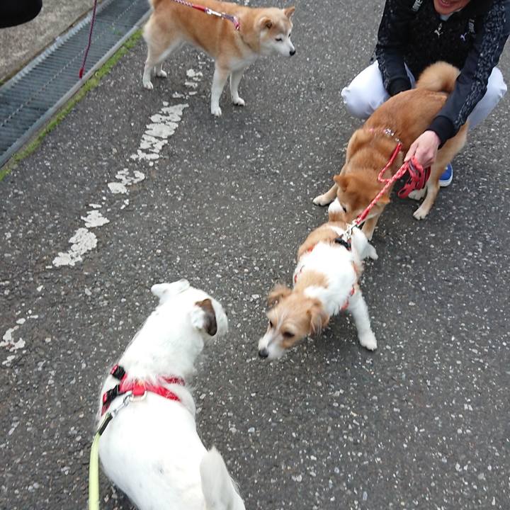 B50edddd 0aba 4aa4 8be7 d5b4c0854923 1523920355687