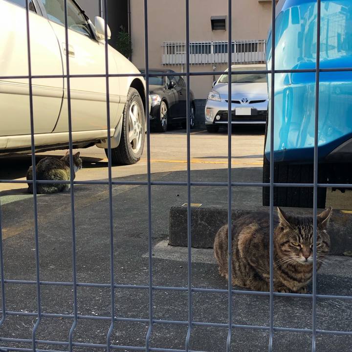 B50efcb9 4593 4806 9d2d 16218b55b92e 1554472776806