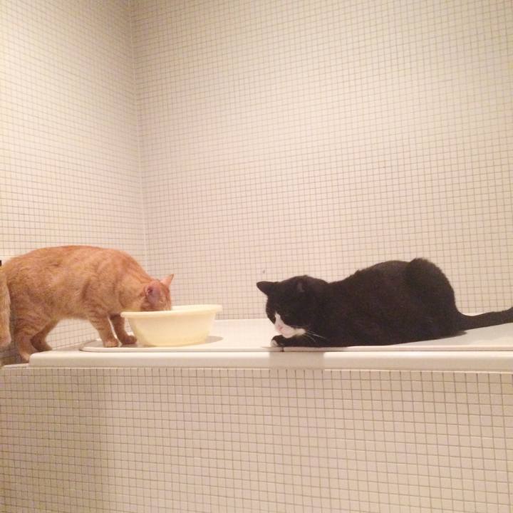 B50f0a62 d93e 4791 ac87 599255a21cfe 1569334729815