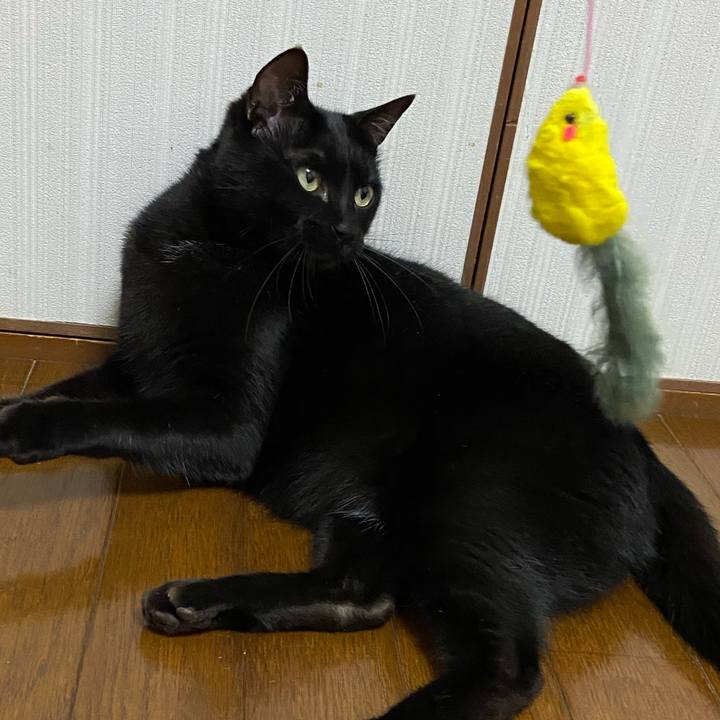 B50f0ad5 08cb 435c 8fed c04ce5cb0ac0 1684070905378