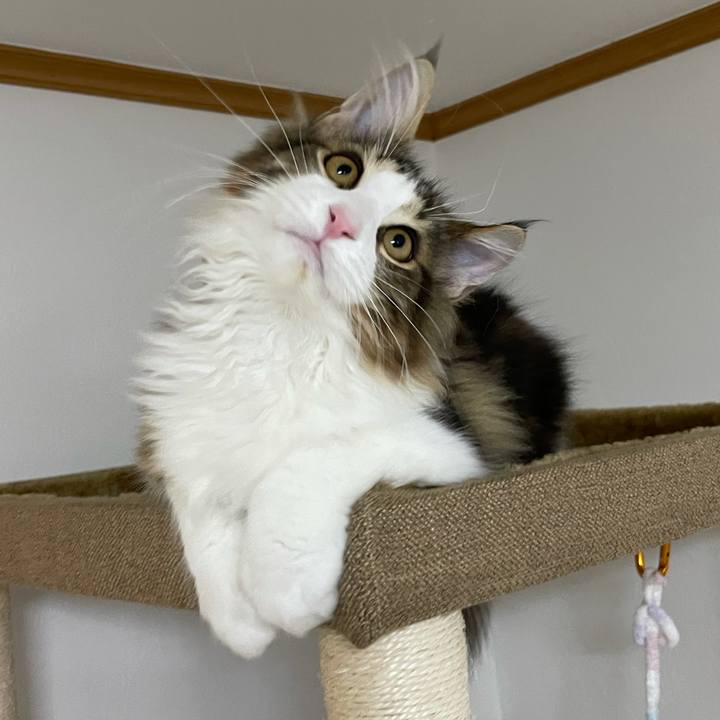 B50f20a6 81d3 4cd7 91a2 38853da7f6b1 1635797068232