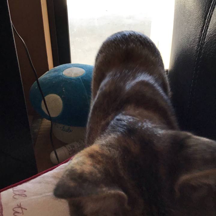 B50f5085 7166 4aea 950e 008814c4ff76 1573356648883