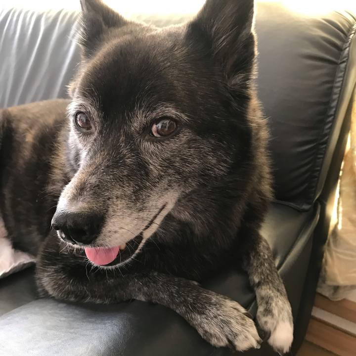 B50f5bab 4759 4383 a045 0676e28216b0 1574079278561