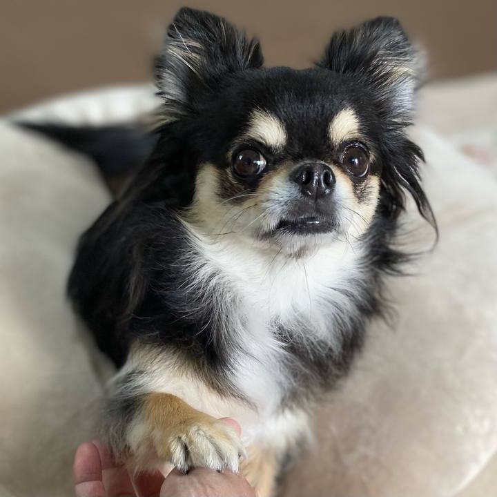 B50f6098 da72 463e a7b6 8ccc869b1338 1650501514905