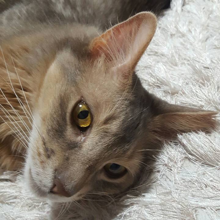 B50f81ad e6ec 466b 8cd0 e99cfbe5f71c 1557402004592