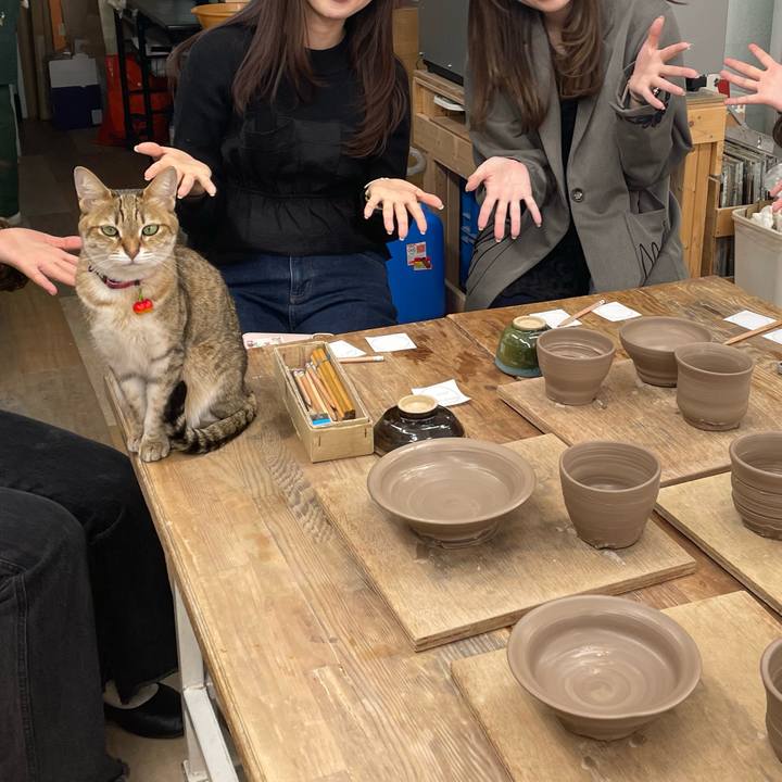 B50f9f6b b5c5 414a 912b 381c77f8ec79 1743255909442